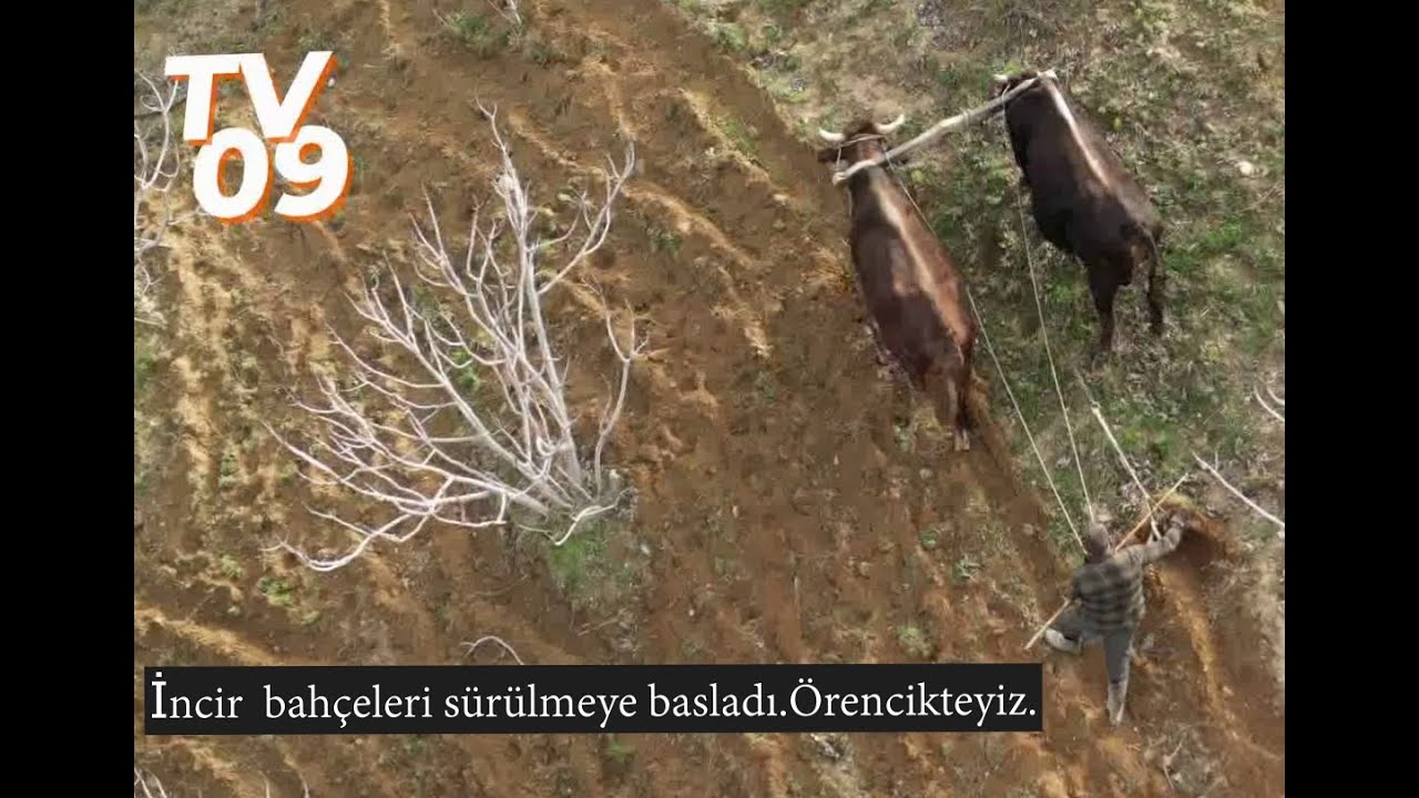Örencik köyünde bir gün gecirdik .Belgesel fulll izle