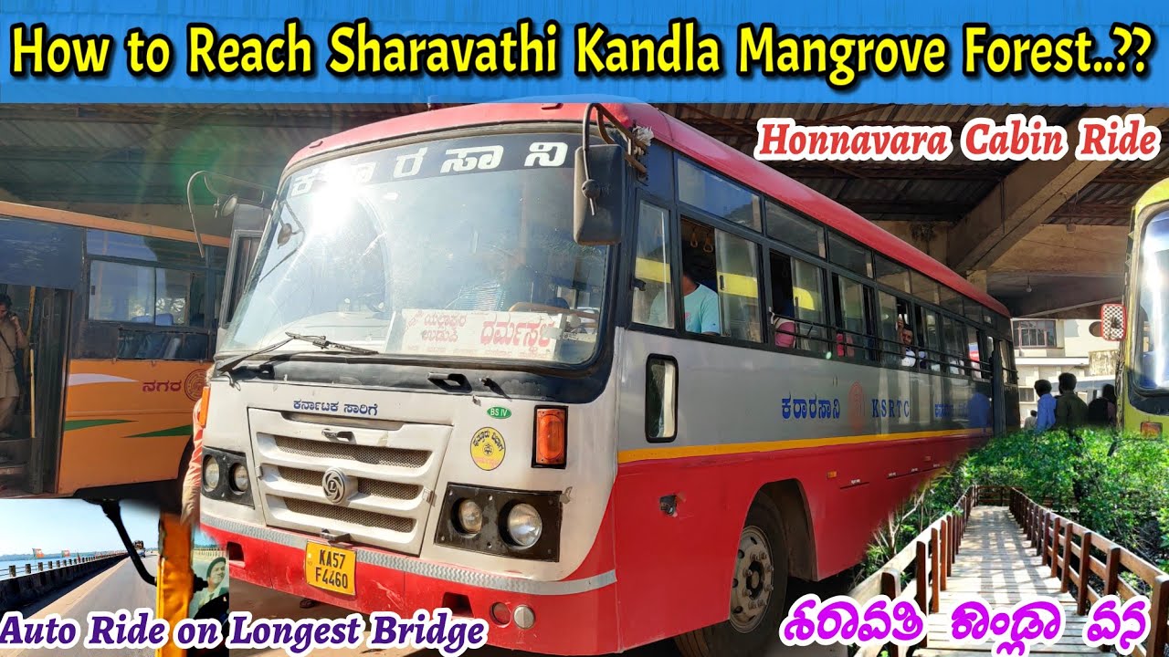 Honnavara Cabin Ride | Kumta Bus Stand | Sharavathi Kandla Mangrove Boardwalk | Auto ride😅