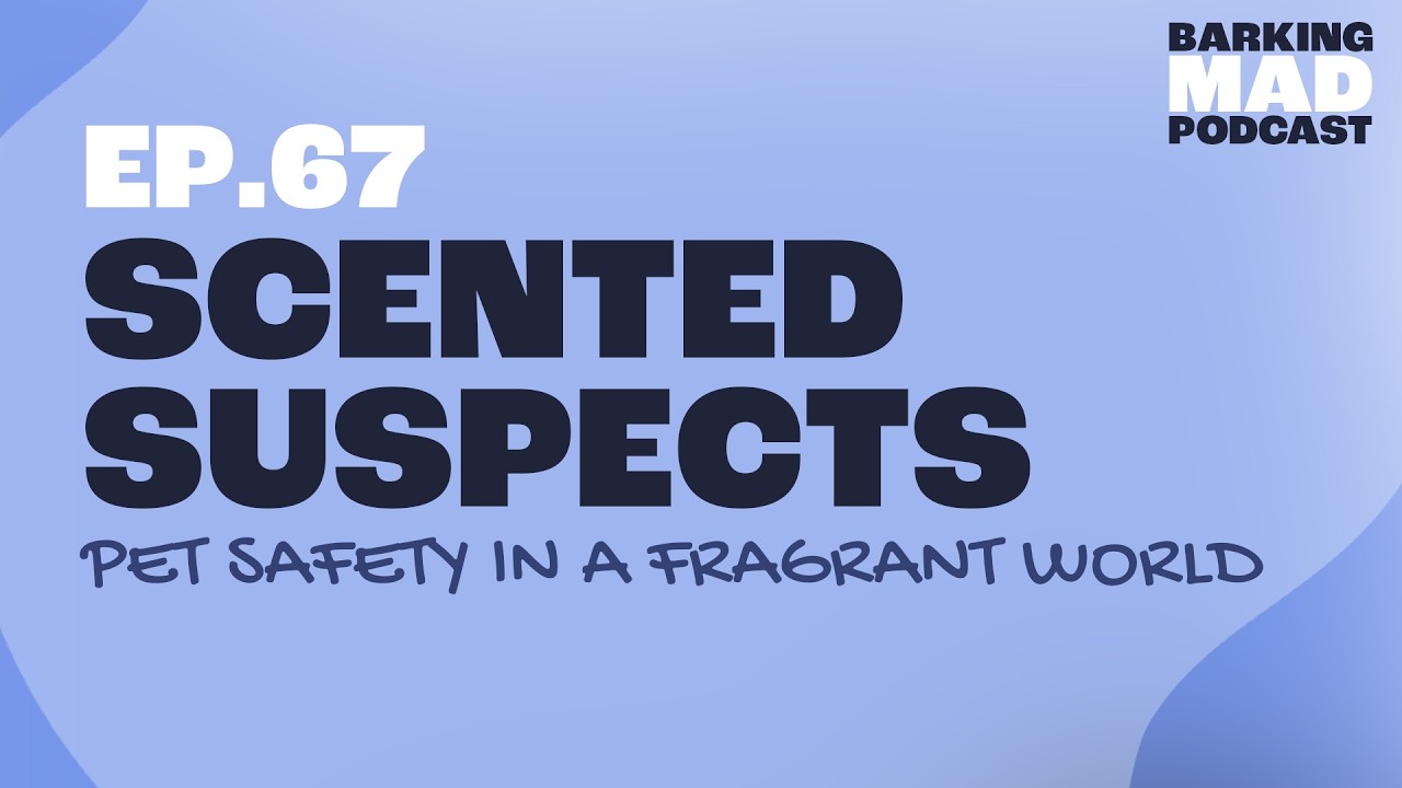 Scented Suspects: Pet Safety in a Fragrant World