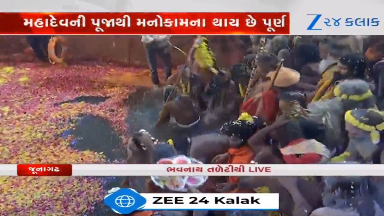 Maha Shivratri 2026: Bhavnathમાં ભવ્ય રવેડી યાત્રા બાદ પવિત્ર મૃગીકુંડમાં સાધુ-સંતોનું શાહી સ્નાન