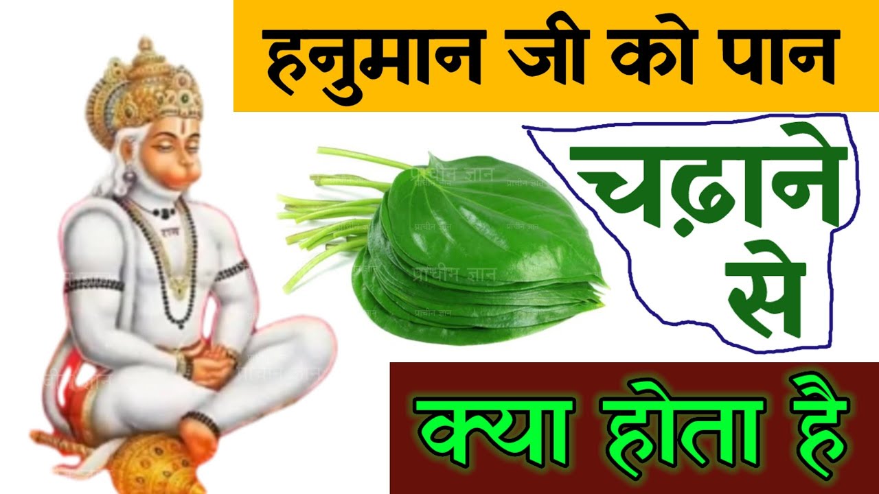 बहुत तेजी से काम करता है 1 घंटे में परिणाम देगा, आगे आपके मर्जी//