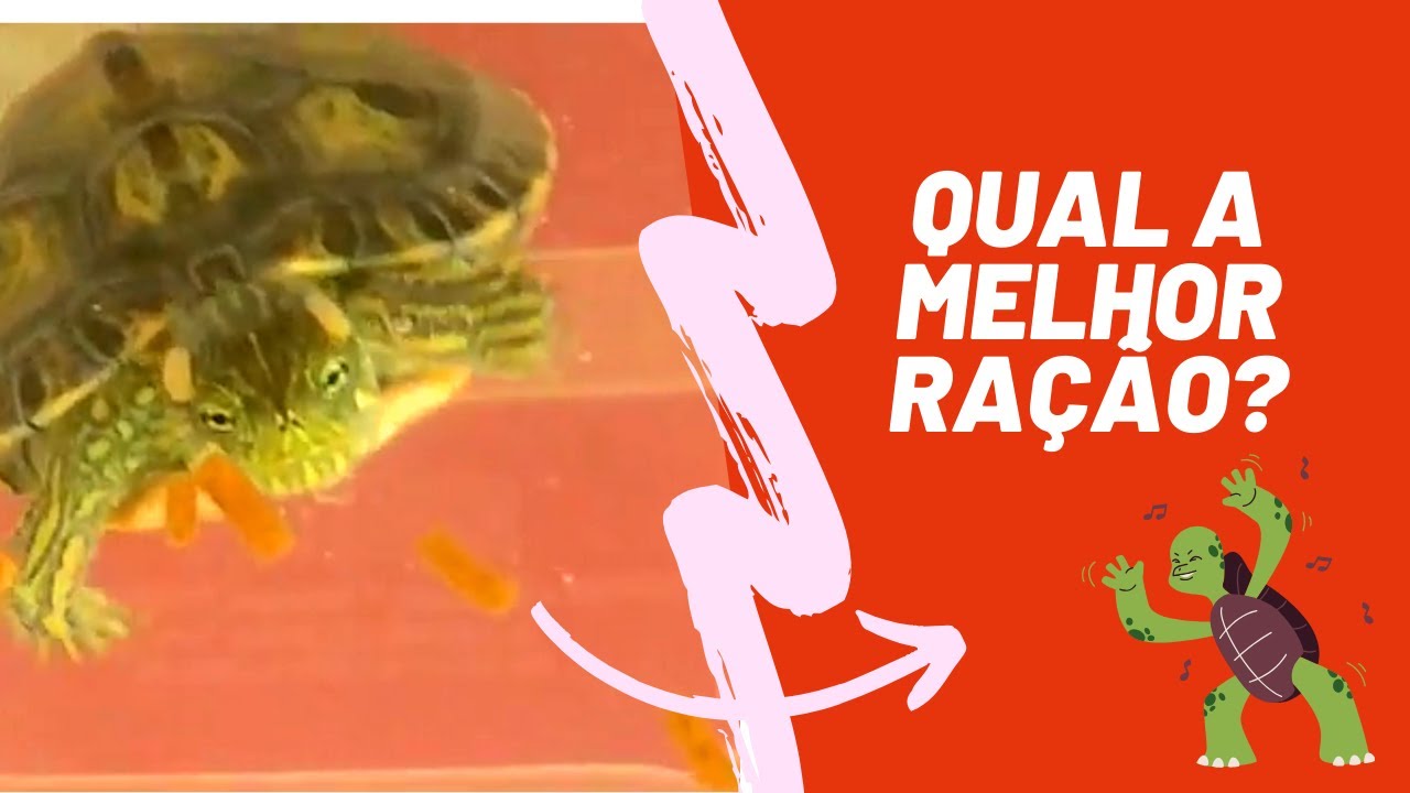 RAÇÃO PARA TARTARUGA TIGRE D' ÁGUA - QUAL A MELHOR?