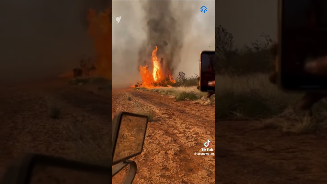 Fire Tornado & Storm: Epic TikTok Visuals That Will Blow Your Mind!