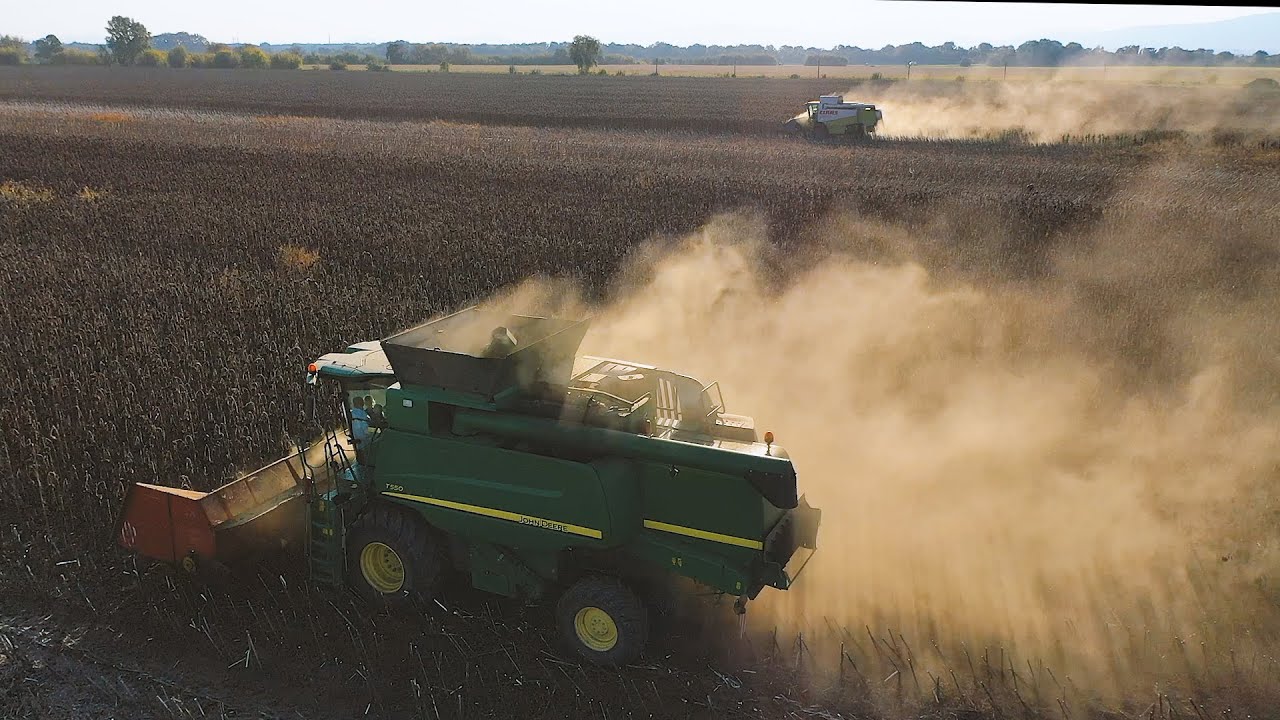 Slnečnica 🌻 | CLAAS Lexion 660, 460 | JOHN DEERE T550 | East Slovakia Agriculture (ESA)