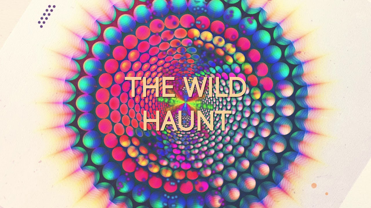 Artificial Language - The Wild Haunt (Audio Stream)