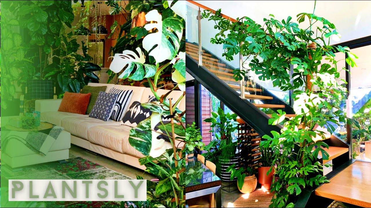 BEST INDOOR TROPICAL PLANTS | INDOOR TROPICAL GARDEN