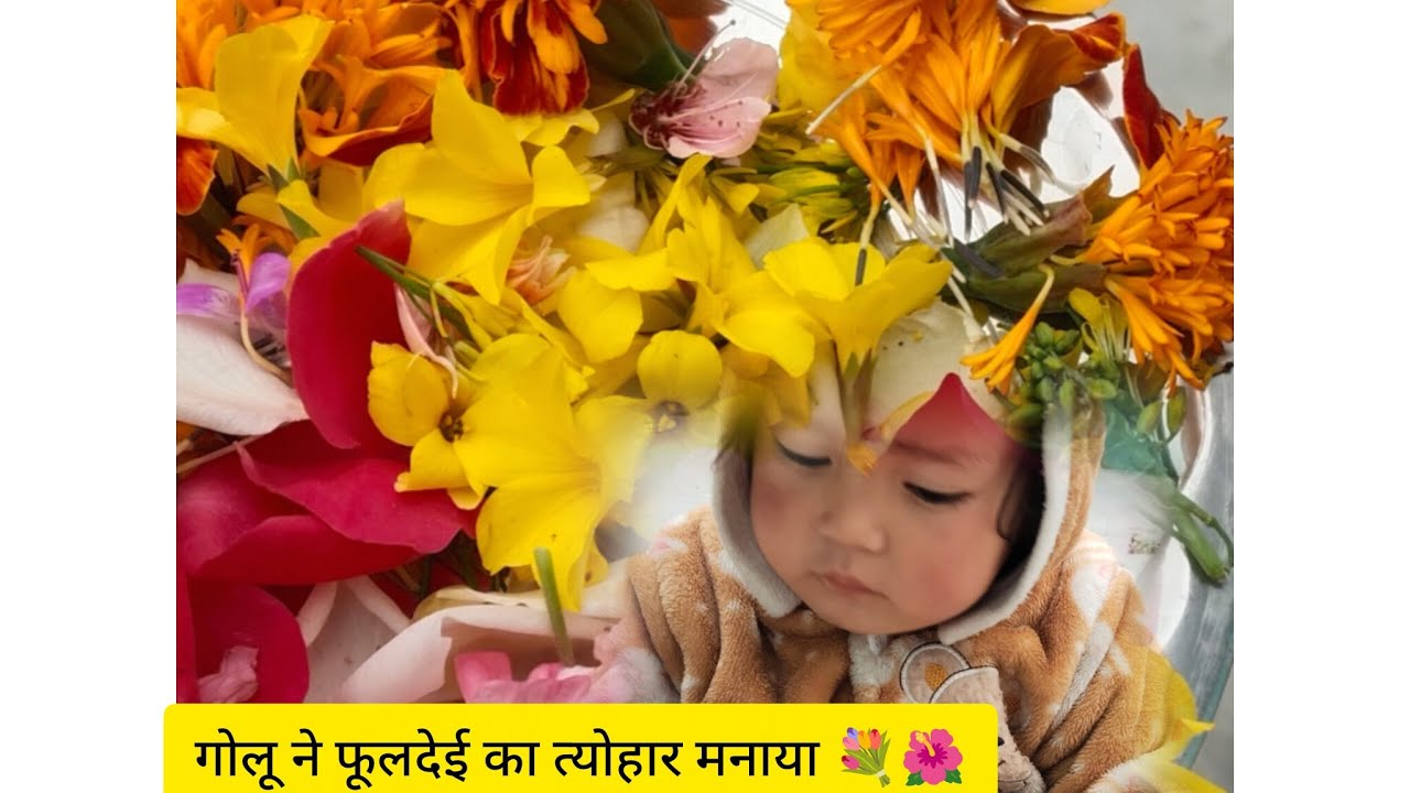 आप सभी को फूलदेई त्योहार 💐 की हार्दिक शुभकामनाएं 🙏💐🌺🌼🏵️🙏