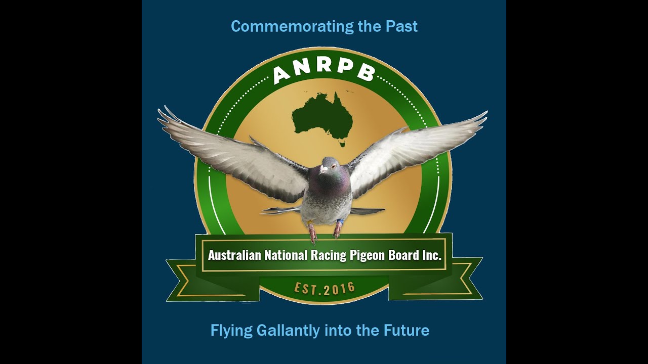 Short video. Australian National Racing Pigeon Board.