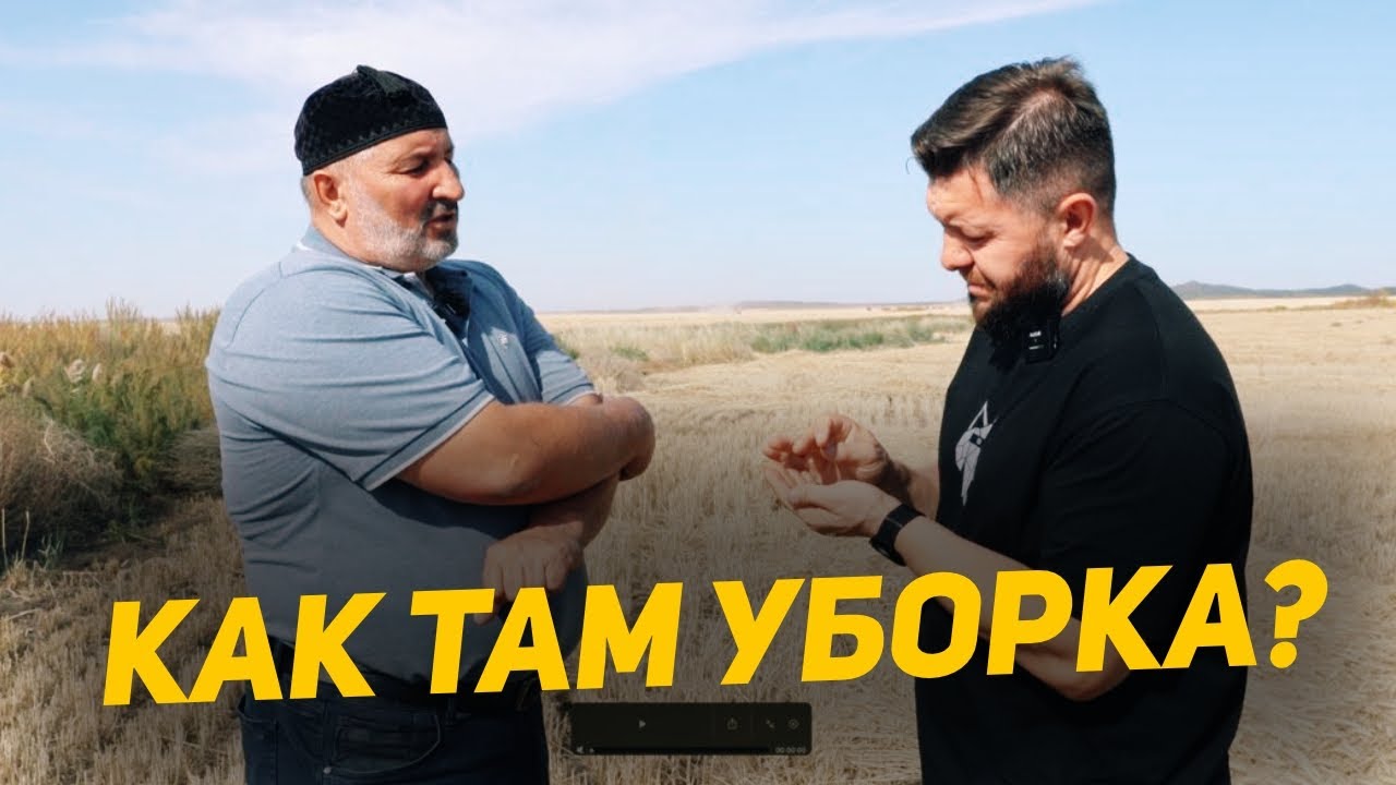Уборка полным ходом! Акмолинская область Сандыктауский район!