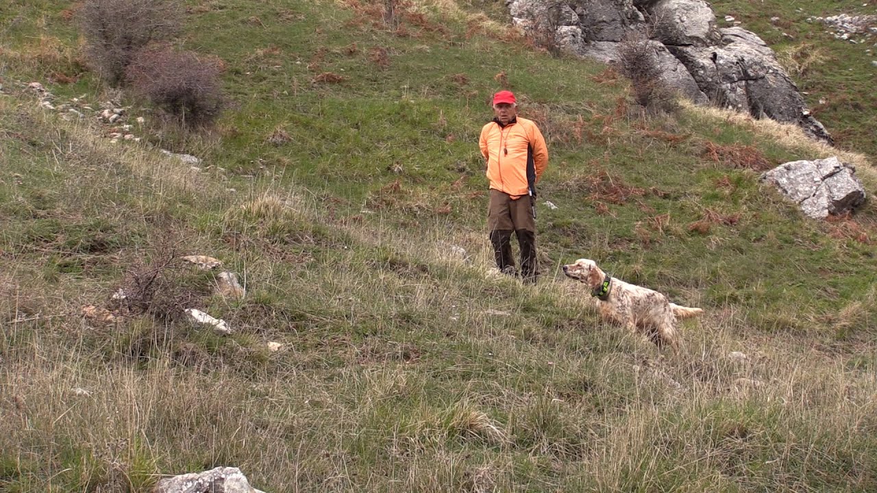 ΓΙΑΤΙ ΣΕΤΤΕΡ ΚΑΙ ΟΧΙ ΑΛΛΗ ΦΥΛΗ