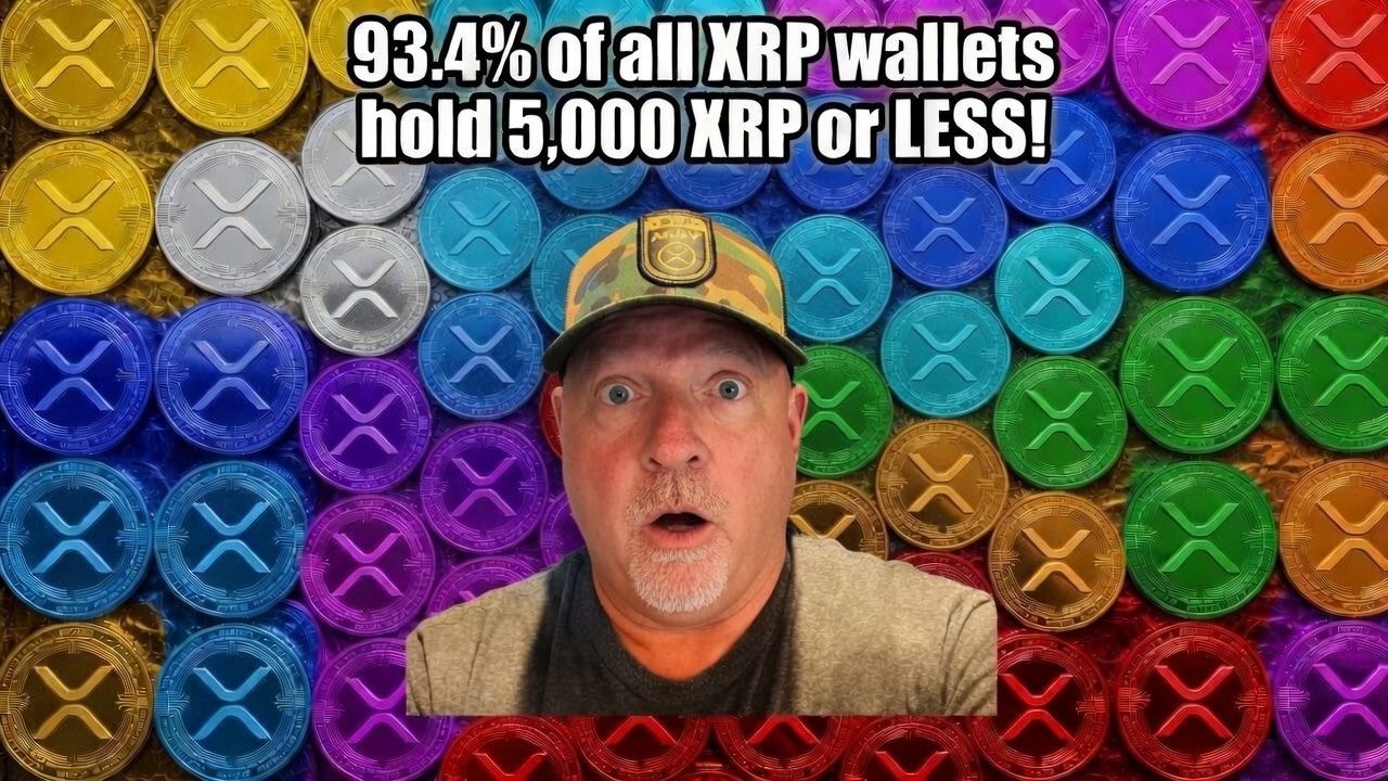 93.4% of ALL XRP Wallets Hold 5,000 XRP or LESS!