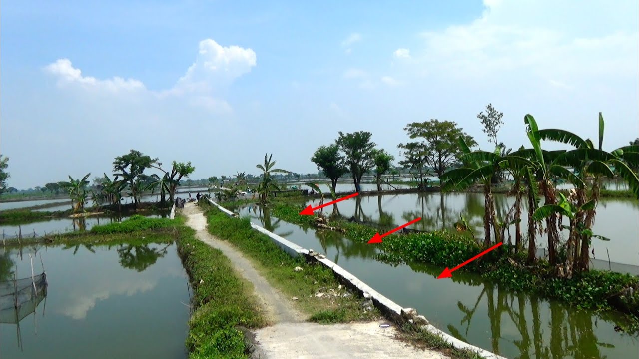 Sungai yang ditinggal para pemancing..!! Saya mancing sebentar saja panen ikan besar besar 