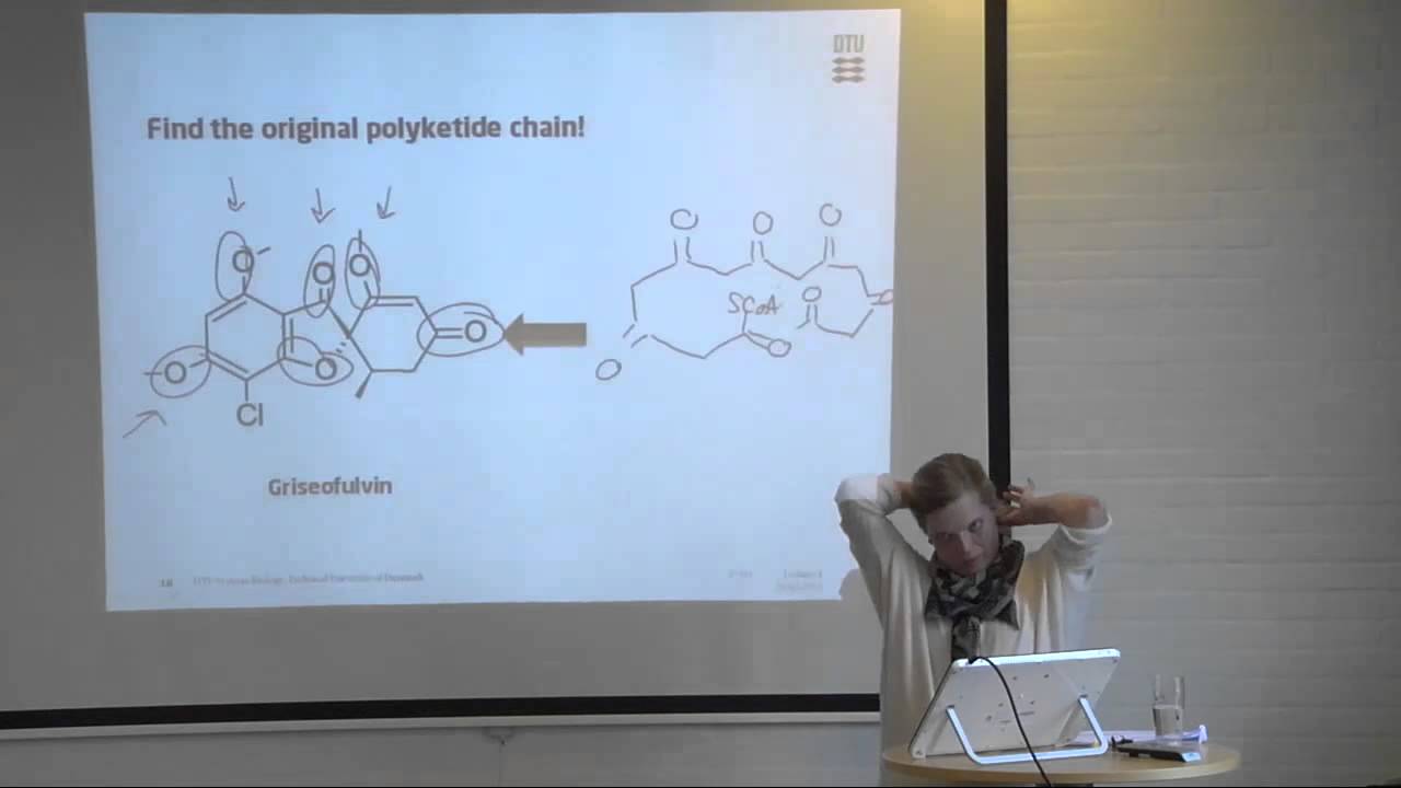 Biosynthesis of polyketide natural products