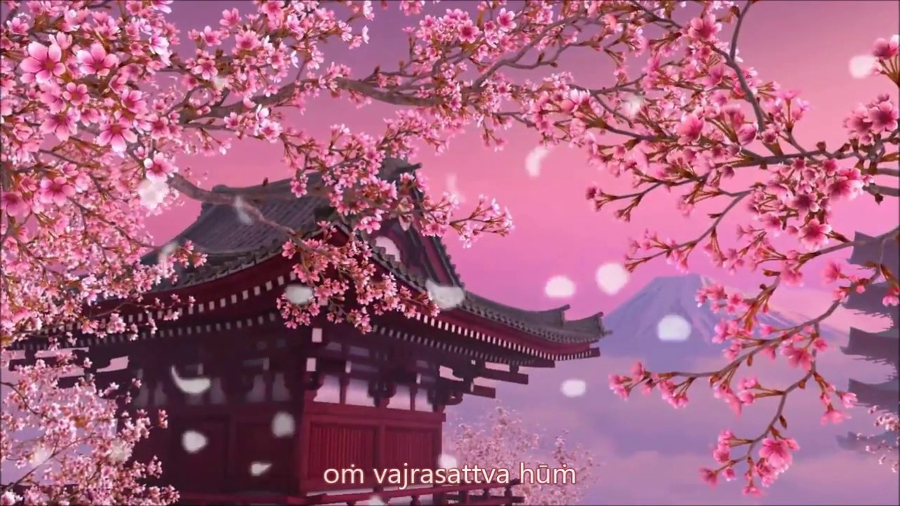 🎵 NGỌT NGÀO thần chú Kim Cang Tát Đỏa với hoa anh đào nhẹ nhàng rơi - Om Vajrasattva Hum