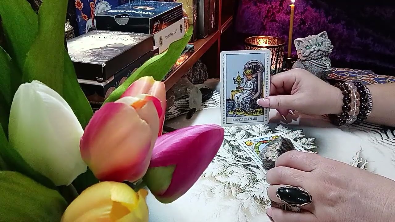 4 КОРОЛЕВЫ,в чем твой ресурс этой весной#  #tarot #таро #развитие #весна #эзотерика 