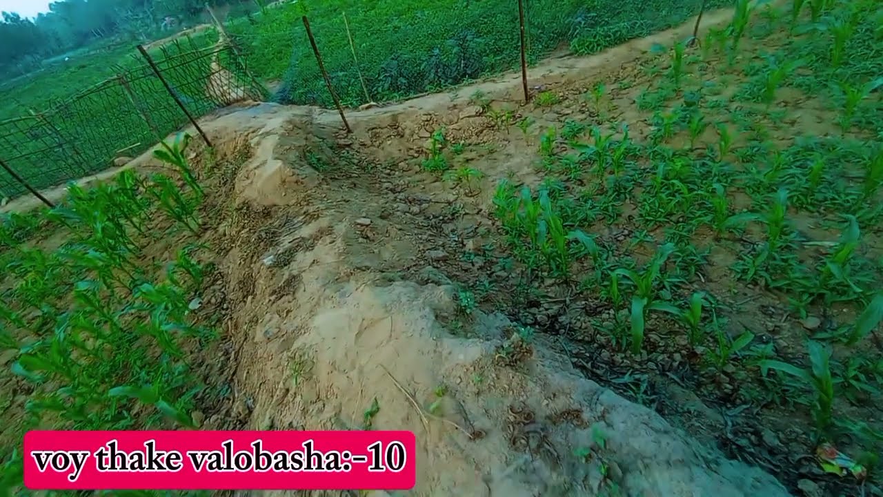  ভয় থেকে ভালোবাসা_( part:-10 )