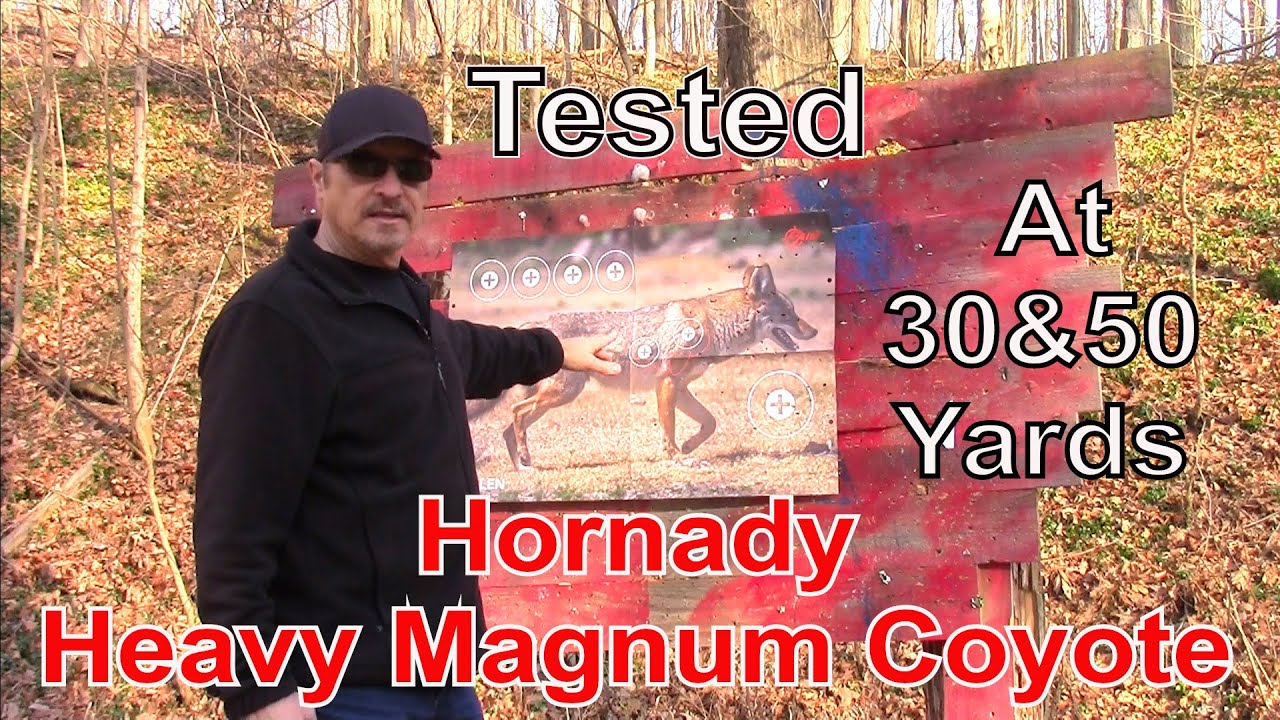 Hornady Heavy Magnum Coyote Tested