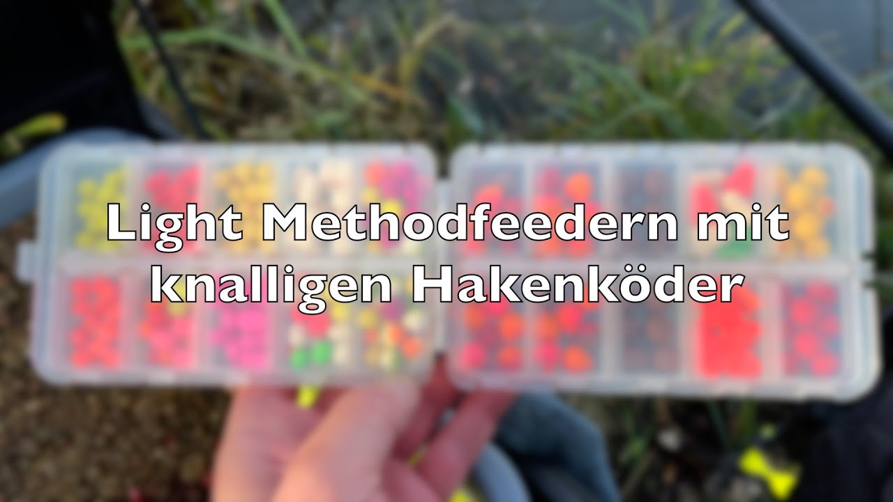 Light Methodfeedern mit knalligen Hakenköder #feedshorts #methodfeeder #methodfeederfishing 