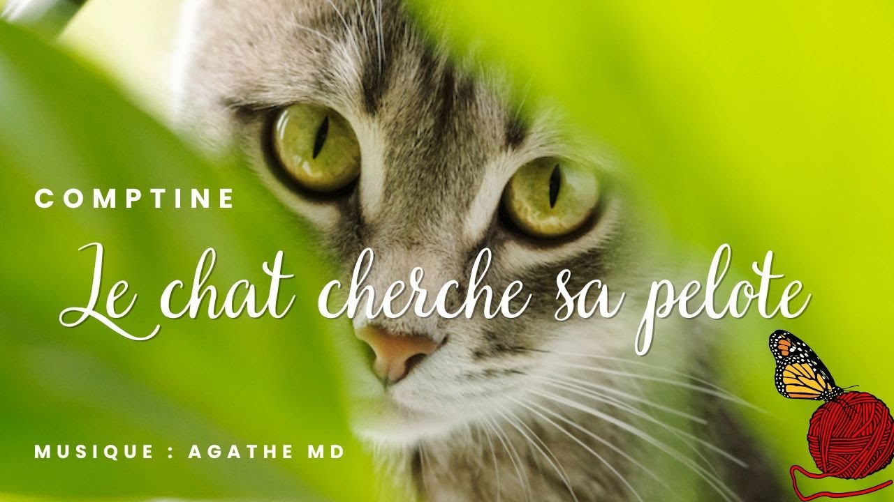 LE CHAT CHERCHE SA PELOTE - Comptine phonétique  mise en musique et interprétée par Agathe MD