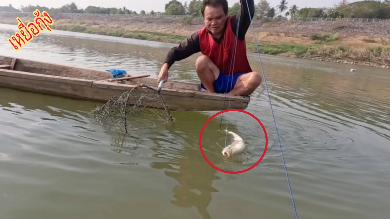 เบ็ดราวเหยื่อกุ้งเจอปลานางปลาขบหมานๆ/นาเวียงแกอินดี้