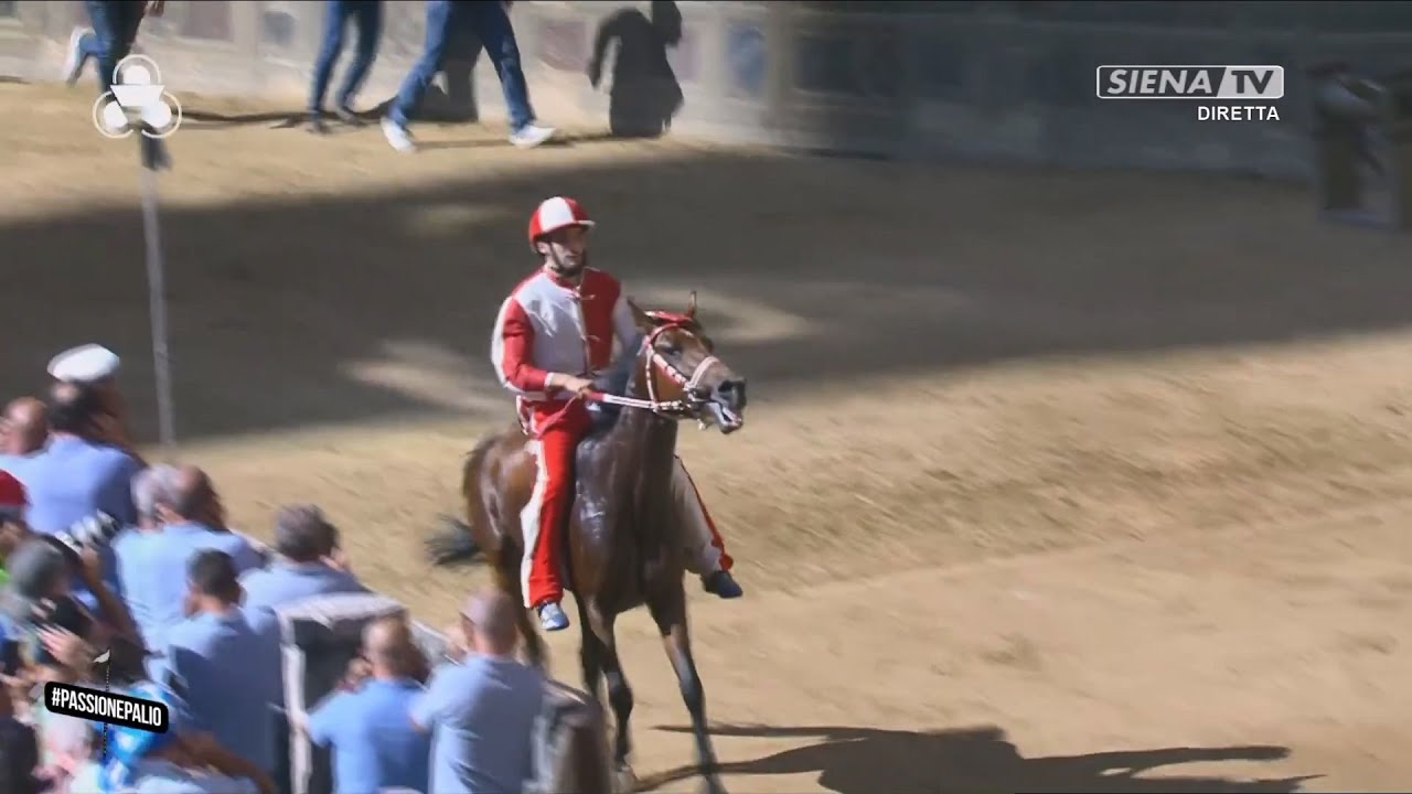 PROVACCIA - GIRAFFA - PALIO DI SIENA 2 LUGLIO 2024