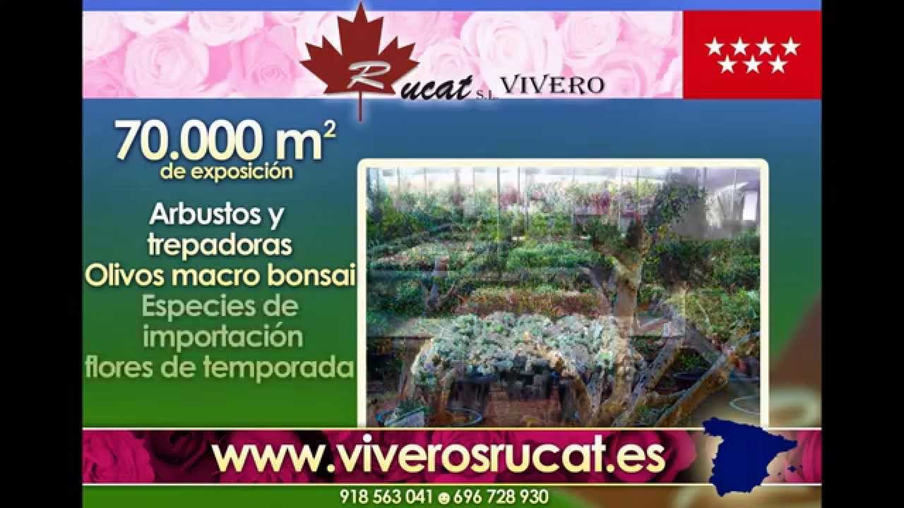 VIVEROS MADRID - VIVEROS RUCAT - VIVERO MADRID