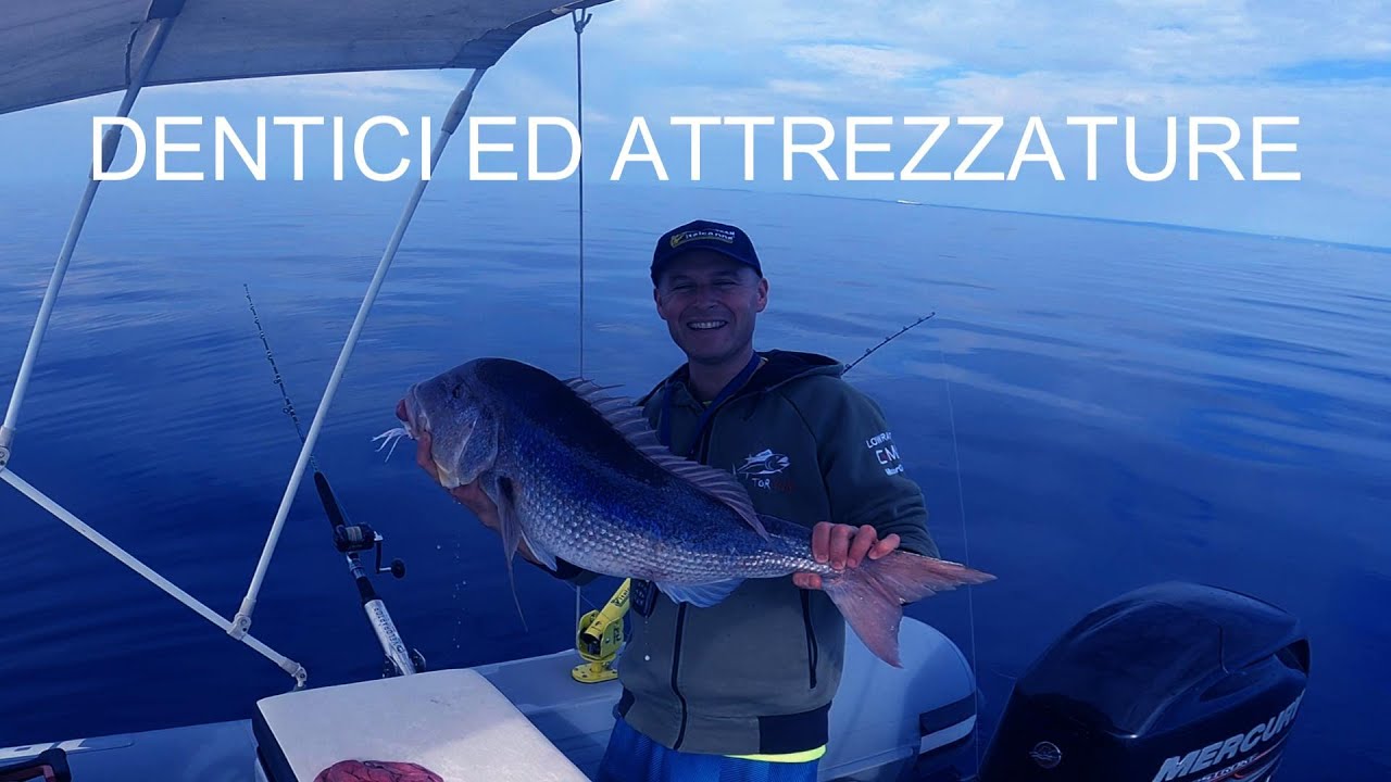 DENTICI ED ATTREZZATURE