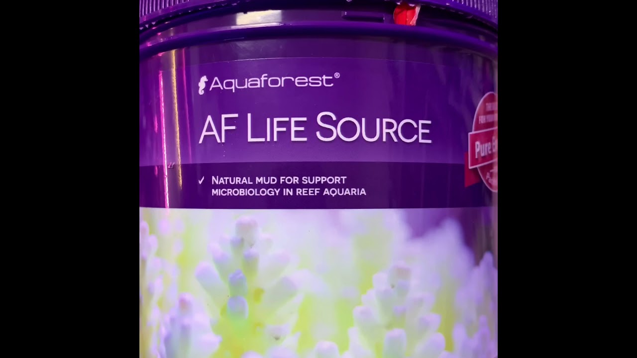 AF live source Part 1
