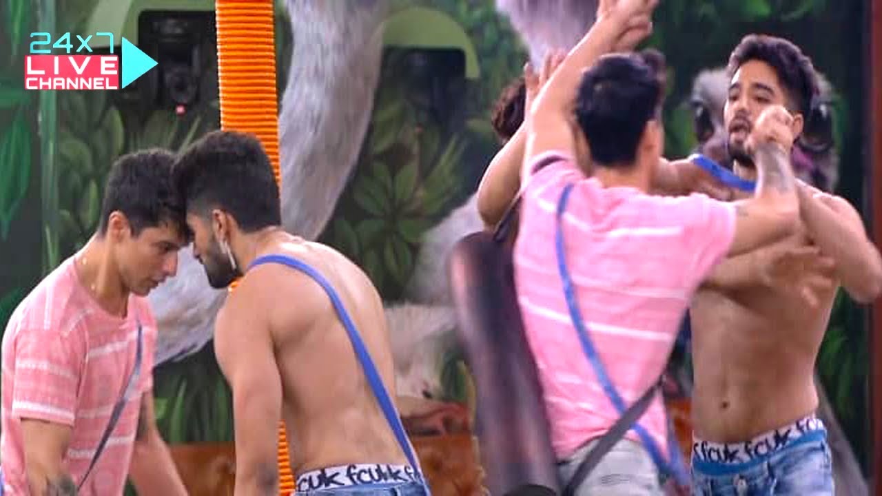 Bigg Boss 15 Live: Zeeshan khan punched pratik sehajpal, major fight between pratik and nishant