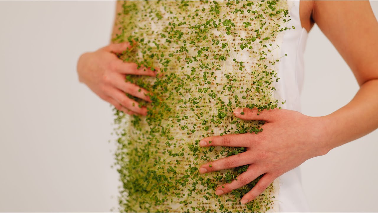 LivingLoom