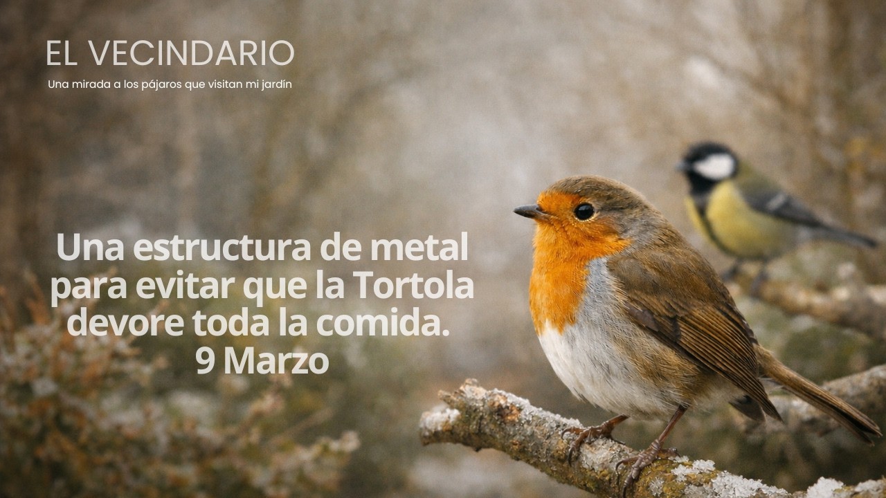 Edtructura de metal para evitar que las tortolas acaben con toda la comida. #birds #animals
