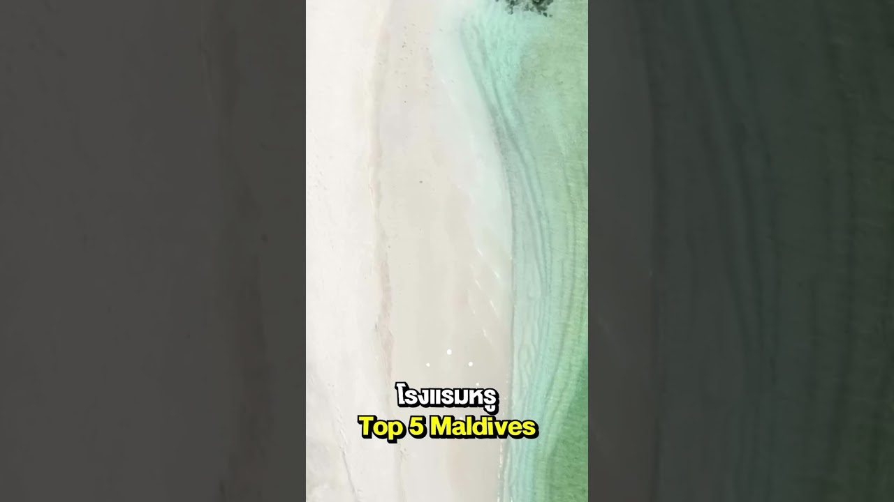 เปิดราคาที่พัก ตามรอยลิซ่า ที่ไหน? เท่าไหร่?  #springnews #spring