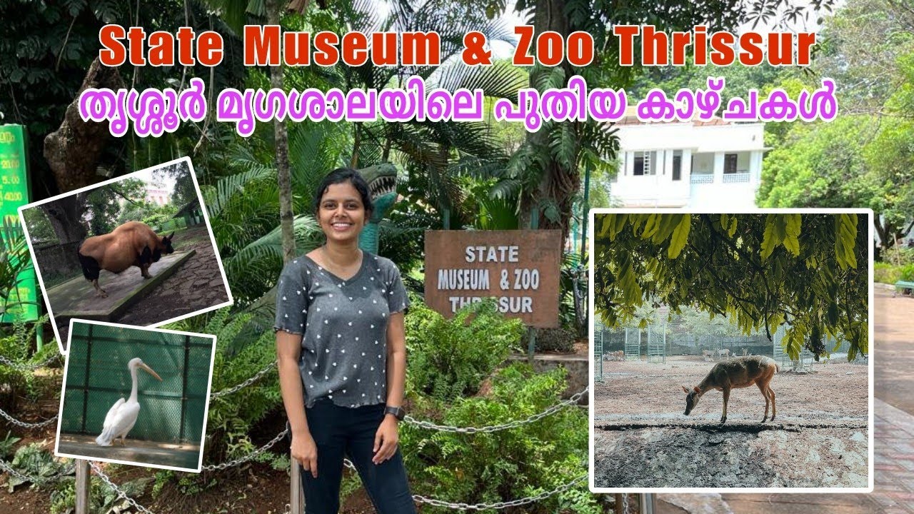State museum and Zoo Thrissur | 2nd largest and oldest Zoo in Kerala | Kerala Tourism