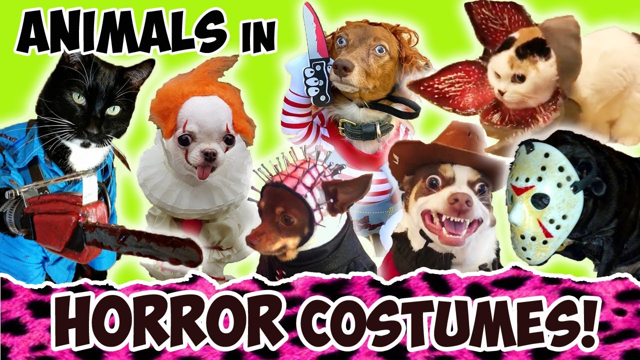 ANIMALS Dressed as HORROR CHARACTERS!!!