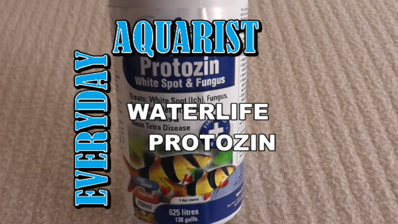 Protozin (Waterlife) for Aquarium Fish with White Spot (Ich), Parasites and Fungus