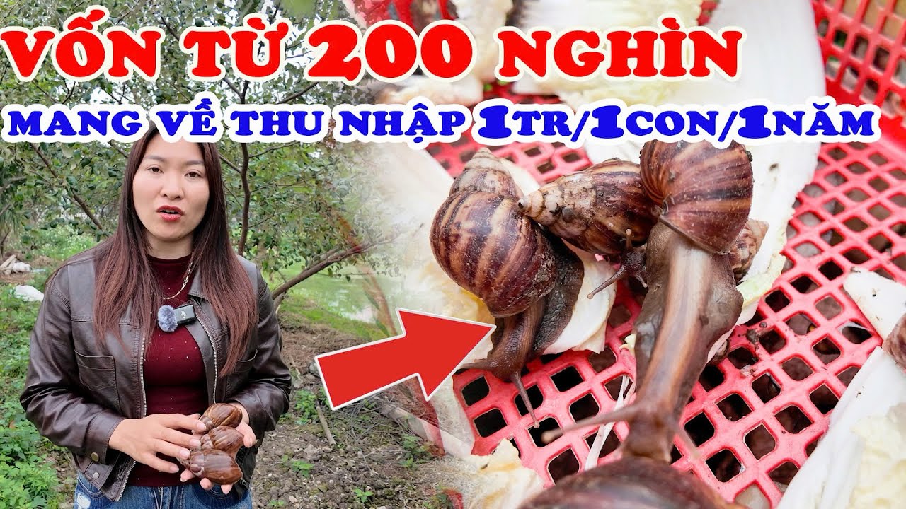 ngày 18 tháng 2, 2026