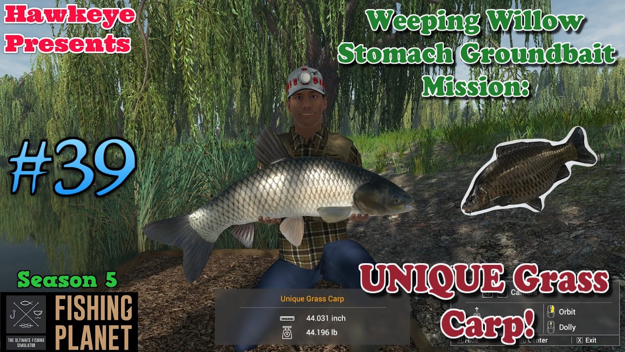 Fishing Planet #39 - S5 | Weeping Willow Stomach Groundbait Mission: UNIQUE Grass Carp!