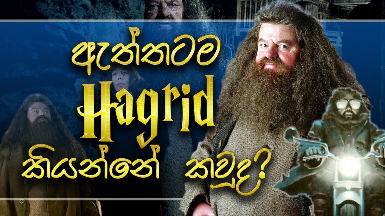 Rubeus Hagrid ගේ ජීවිත කතාව | Life of Rubeus Hagrid | Sinhala | Harry Potter