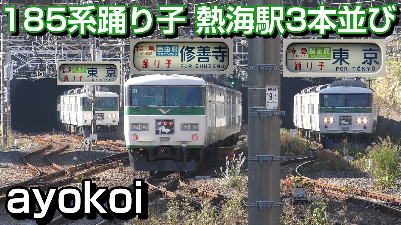 さよなら185系 特急踊り子 熱海駅 日曜限定3本並び