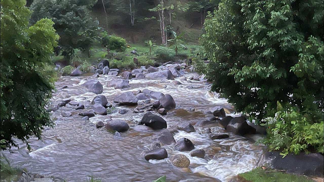 Kia Garden Campsite @SlimRiver Perak