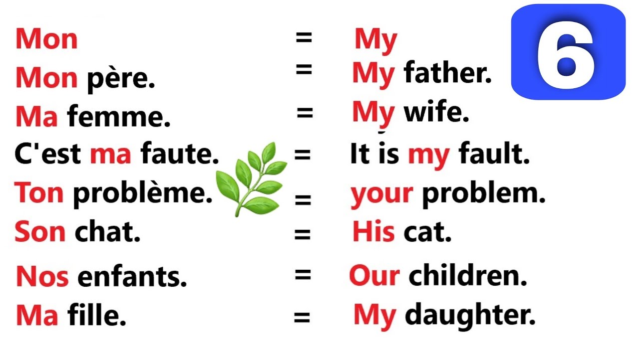 phrases simples pour apprendre l'anglais facilement | partie 6 |✪✪✪✪easy sentences to learn french 🌿
