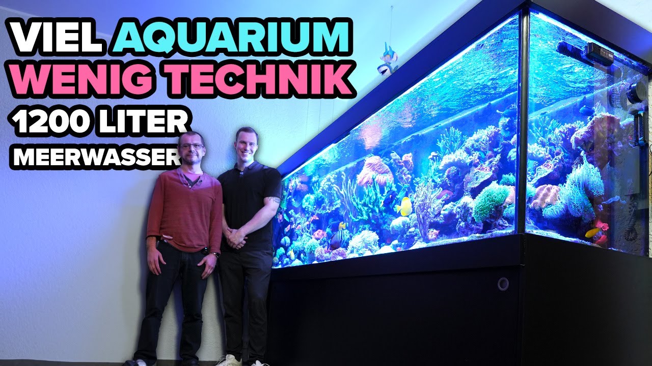 DAS ist nicht dein ERNST?! - 1200 Liter MEERWASSERAQUARIUM mit wenig Technik!