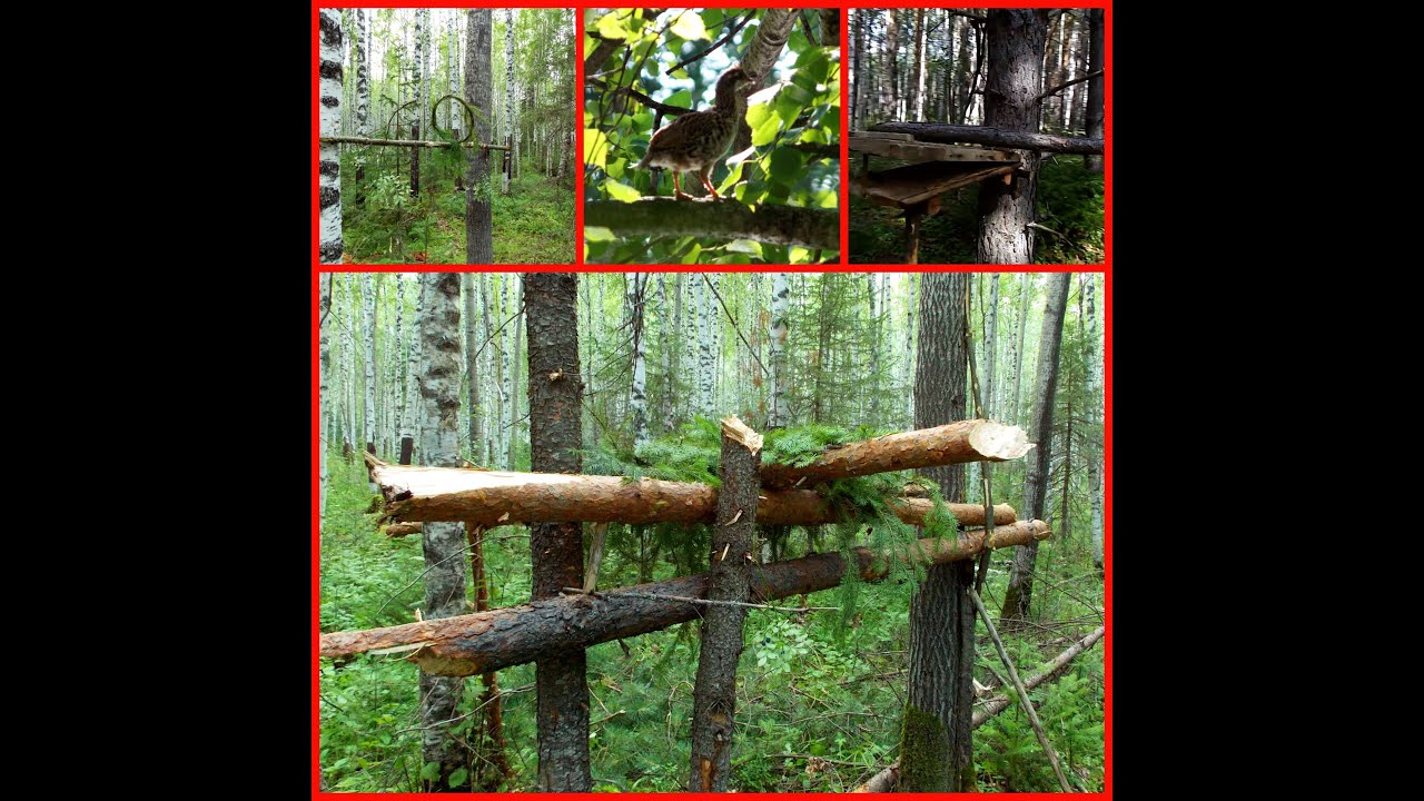 Изготовление петли на рябчика, кулемки и плашки. Дедовские ловушки.