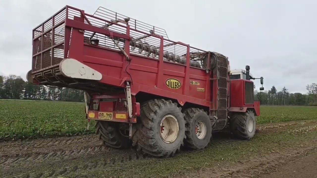 Fendt 514c & Gilles RB310T Automat / Beet Harvest with Fendt 514c & Gilles RB310T Automat.