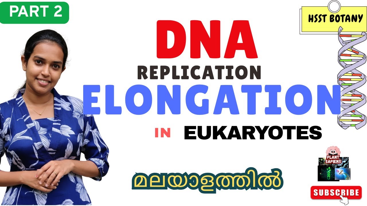Eukaryotic DNA Replication  Elongation Explained |  Malayalam|