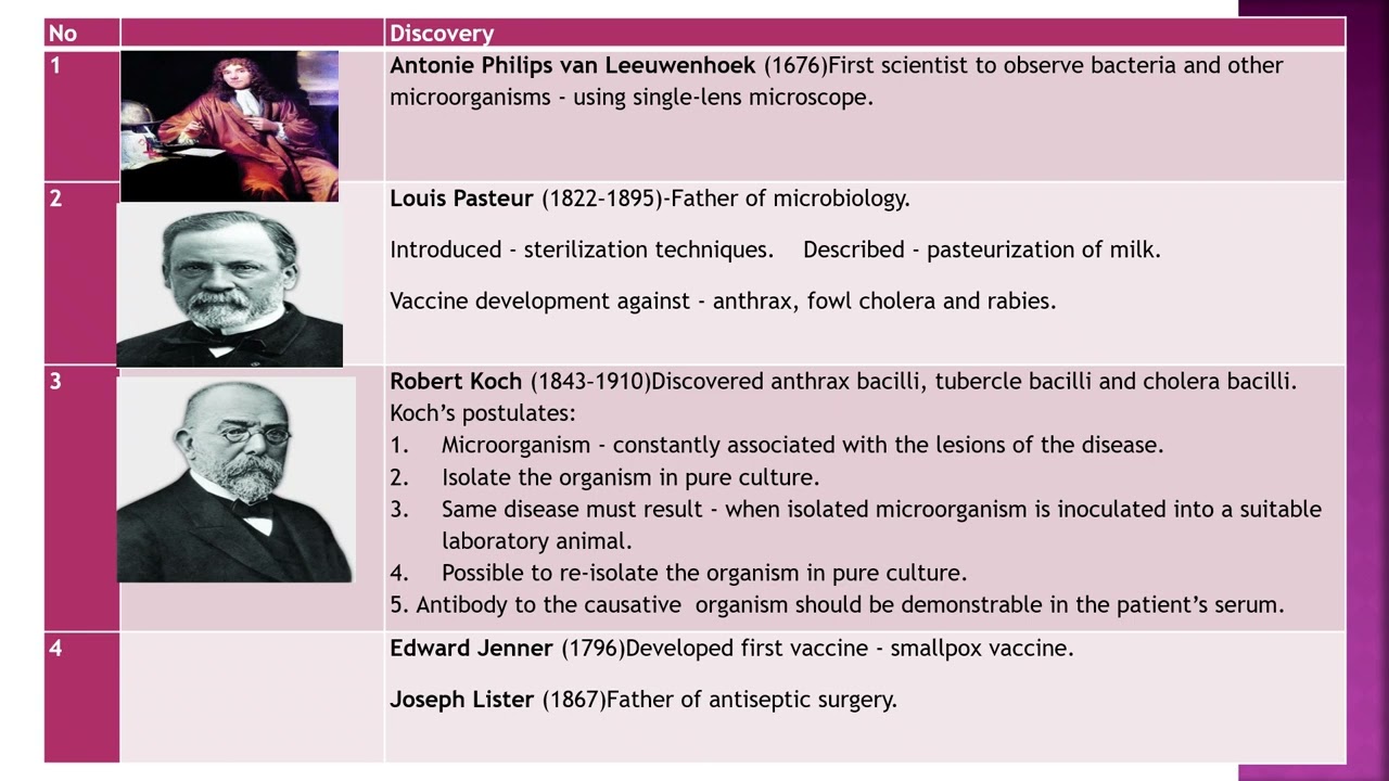 NURSING  1   Intro to microbiology, History, Morphology of bacteria  Dr  Mutha