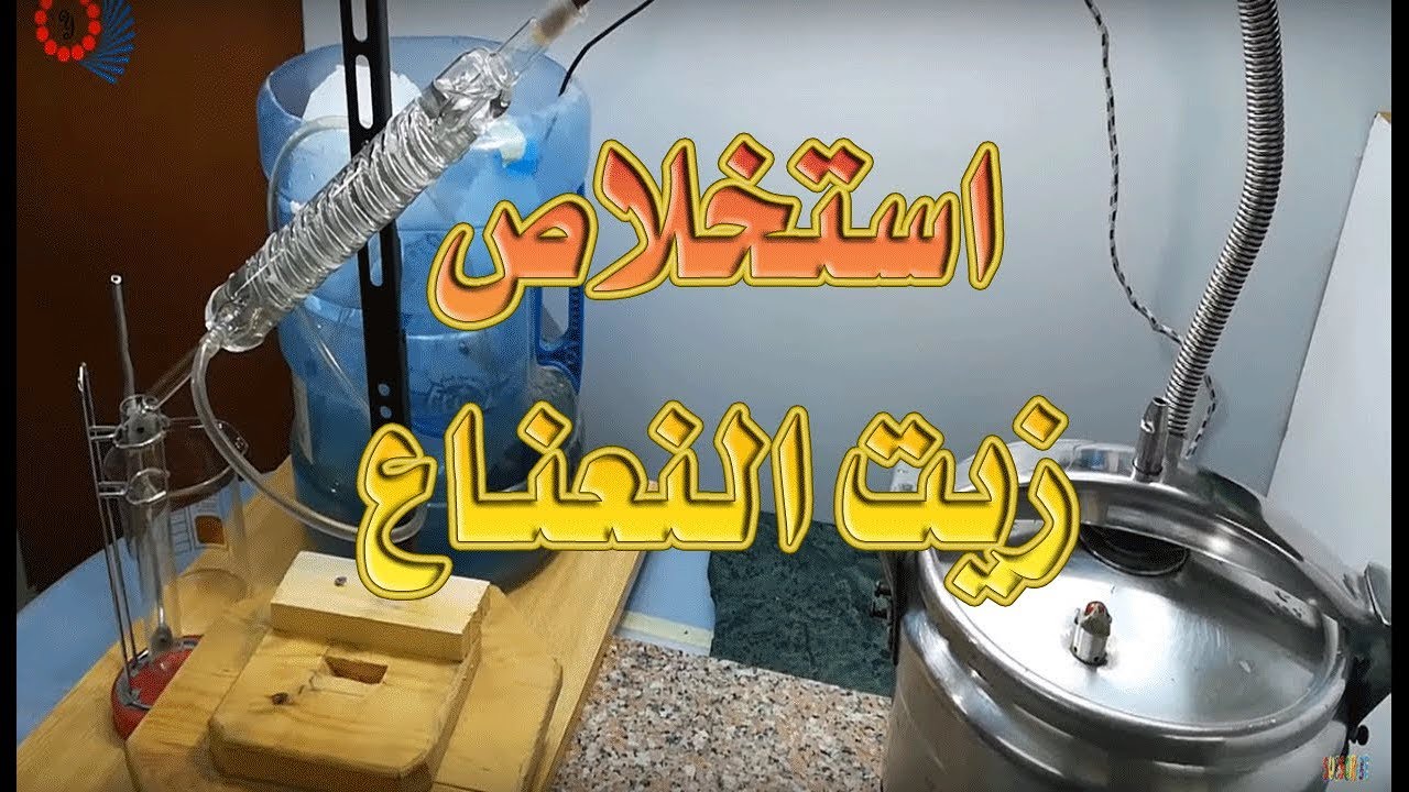 طريقة استخلاص زيت النعناع بالبخار ونبذه مختصرة عن فوائد زيت النعناع للجسم | distillation