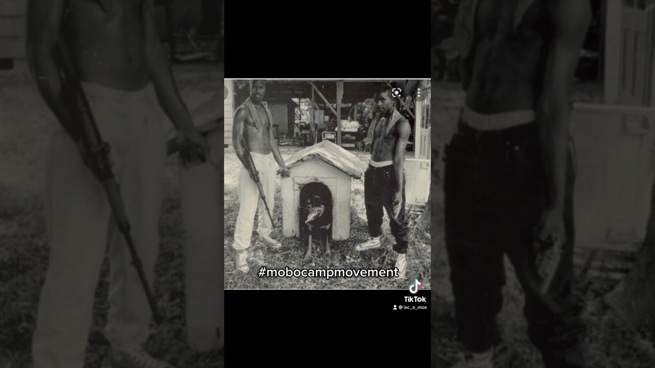 Mobo Joe Intro promo