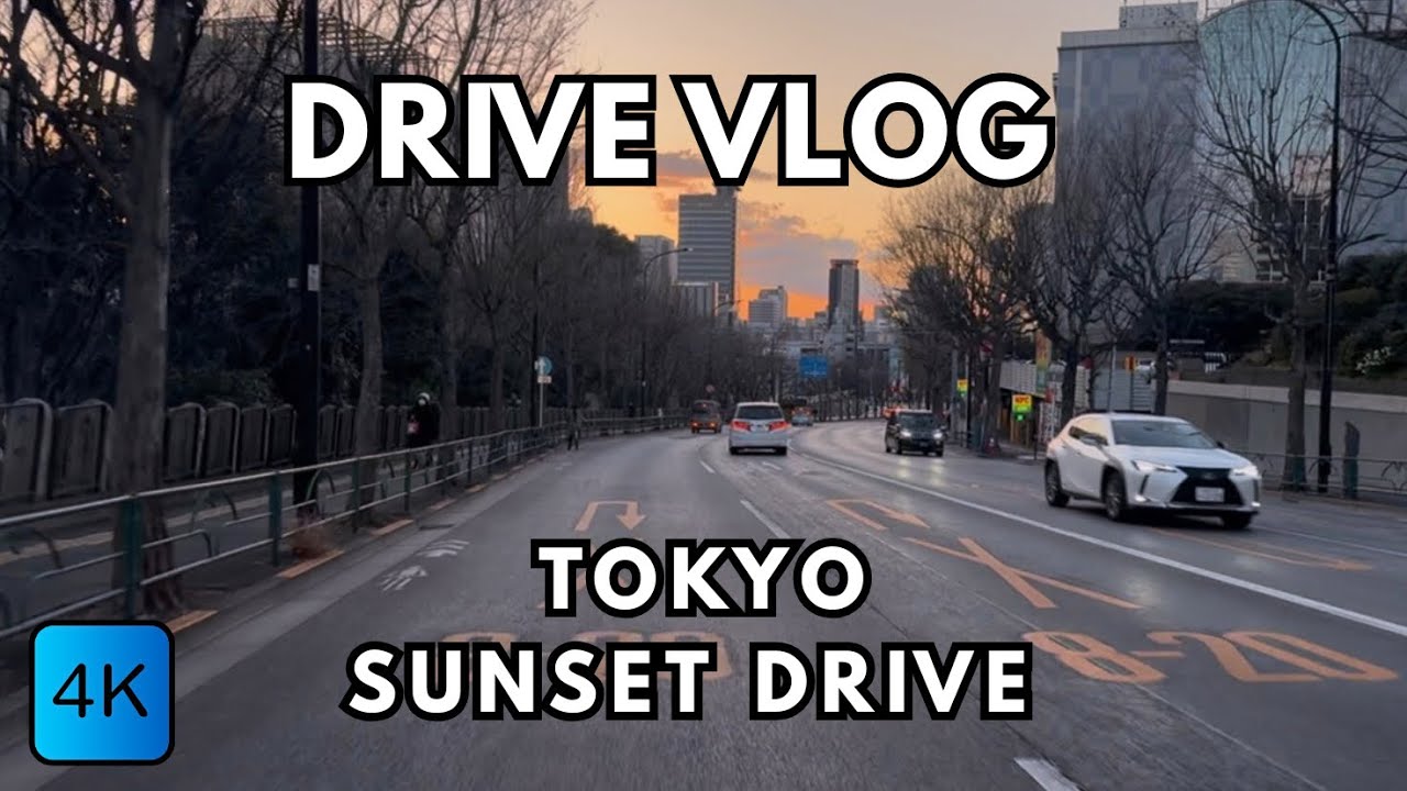 Enjoyable Memorable Drive around Tokyo From Katsushika Ward Towards Shinjuku 