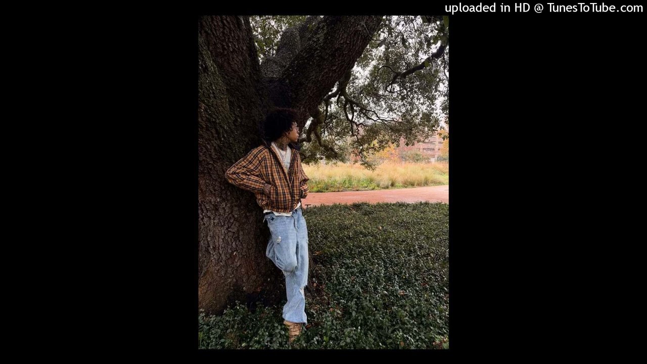 (FREE) Lil Tony x Nino Paid Sample Type Beat - 